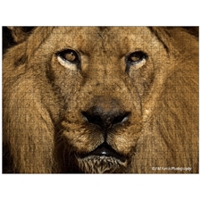 Traditional Jigsaw Puzzles