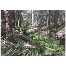 Traditional Jigsaw Puzzles