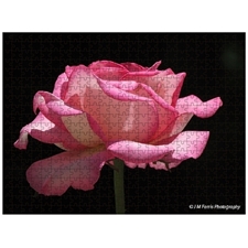 Traditional Jigsaw Puzzles