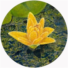 Round Puzzles
