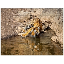 Traditional Jigsaw Puzzles