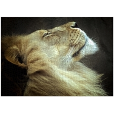 Traditional Jigsaw Puzzles
