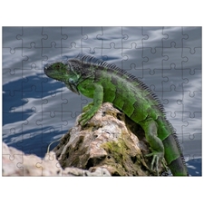 Traditional Jigsaw Puzzles