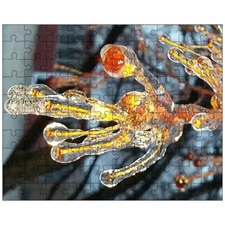 Jigsaw Puzzles 10