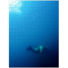 Traditional Jigsaw Puzzles