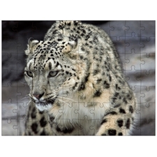 Traditional Jigsaw Puzzles