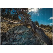 Traditional Jigsaw Puzzles