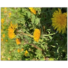 Jigsaw Puzzles 10