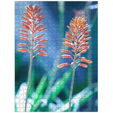 Traditional Jigsaw Puzzles