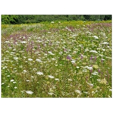 Traditional Jigsaw Puzzles