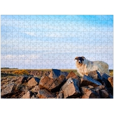 Traditional Jigsaw Puzzles