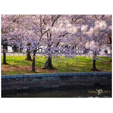 Traditional Jigsaw Puzzles