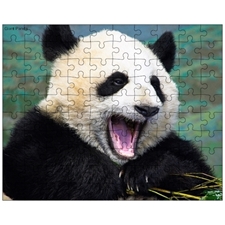 Jigsaw Puzzles 10