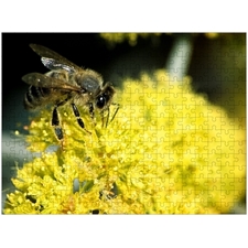 Traditional Jigsaw Puzzles