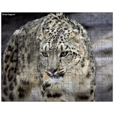 Jigsaw Puzzles 10