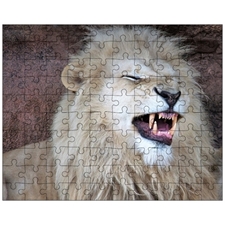 Jigsaw Puzzles 10