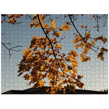 Traditional Jigsaw Puzzles