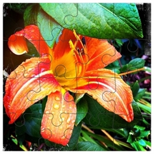 Invitation Puzzles