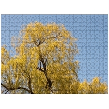 Traditional Jigsaw Puzzles