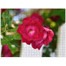 Traditional Jigsaw Puzzles