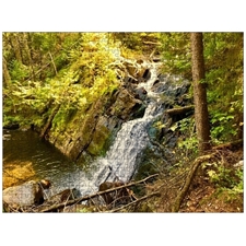 Traditional Jigsaw Puzzles
