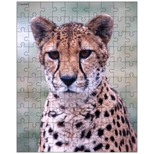 Jigsaw Puzzles 10