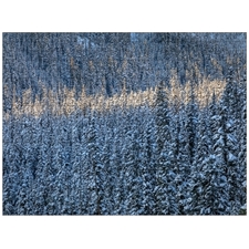 Traditional Jigsaw Puzzles