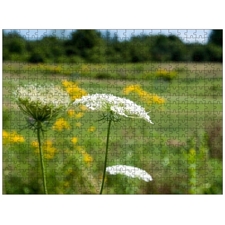 Traditional Jigsaw Puzzles