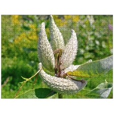Traditional Jigsaw Puzzles