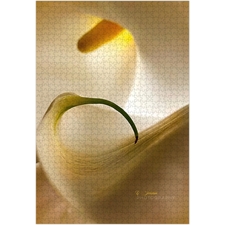 Traditional Jigsaw Puzzles