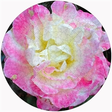 Round Puzzles