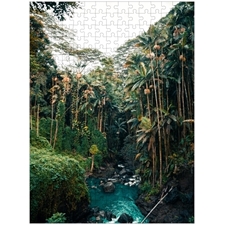 Traditional Jigsaw Puzzles