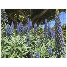 Traditional Jigsaw Puzzles