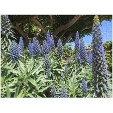 Traditional Jigsaw Puzzles