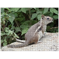 Traditional Jigsaw Puzzles