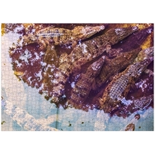 Traditional Jigsaw Puzzles