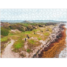 Traditional Jigsaw Puzzles