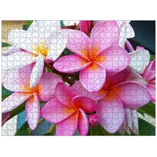 Traditional Jigsaw Puzzles