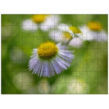 Traditional Jigsaw Puzzles