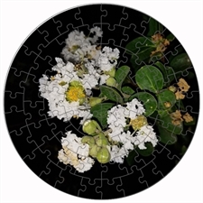 Round Puzzles