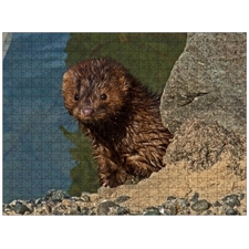 Traditional Jigsaw Puzzles