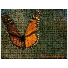 Traditional Jigsaw Puzzles
