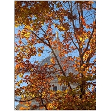 Traditional Jigsaw Puzzles