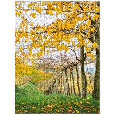 Traditional Jigsaw Puzzles