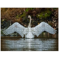 Traditional Jigsaw Puzzles