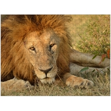 Traditional Jigsaw Puzzles