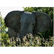 Traditional Jigsaw Puzzles