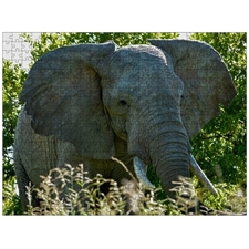 Traditional Jigsaw Puzzles