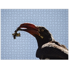 Traditional Jigsaw Puzzles