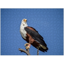 Traditional Jigsaw Puzzles